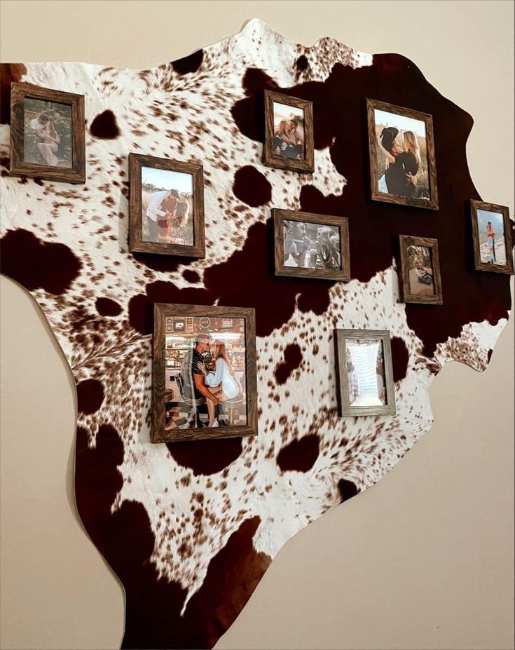 a cow hide with many framed photos on it