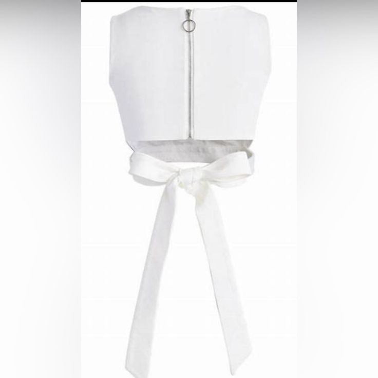 Chicwish “A Fan Of Bowknot” White Croptop Back Zip And Tie Nwt Size Small White Tie Back Crop Top, Chic Cropped Bow Crop Top, Elegant White Tie Back Crop Top, Chic Bow Crop Top For Spring, Chic Spring Crop Top With Bow, Elegant White Top With Bow Tie Back, Elegant White Tops With Bow Tie Back, Elegant Crop Top With Bow, White Tie Back Crop Top For Spring