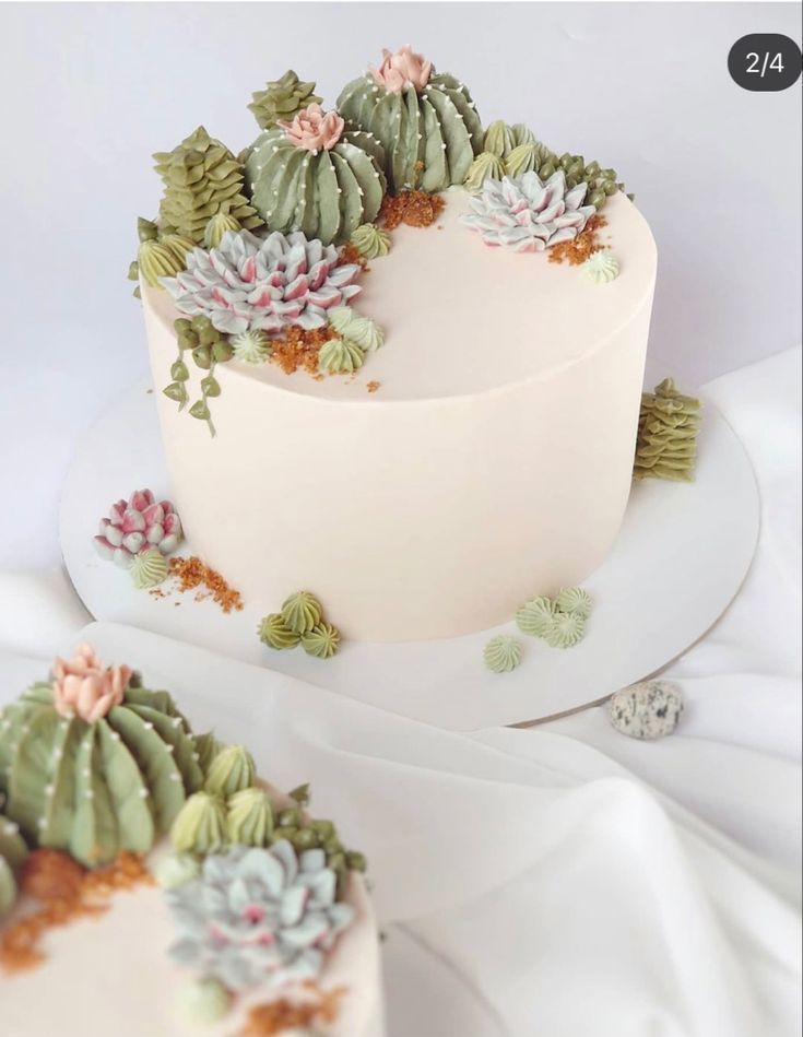 there is a cake decorated with succulents on it