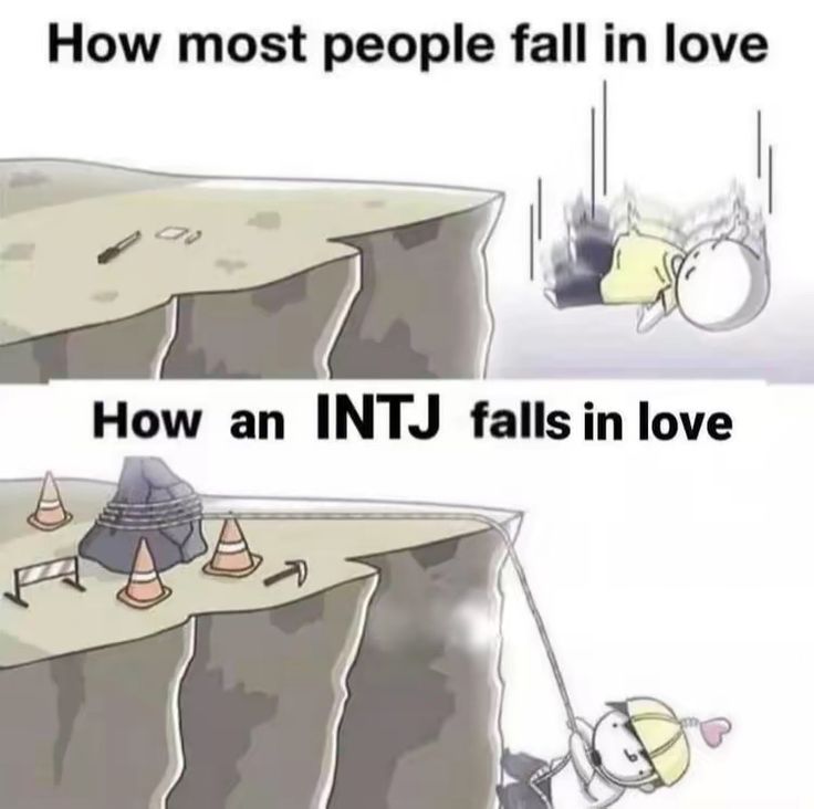 Intj In Love, Intj Characters, Intj Humor, Intj Enfp, Infj Humor, Intj T, Intj And Infj, Infj Mbti, Intj Intp