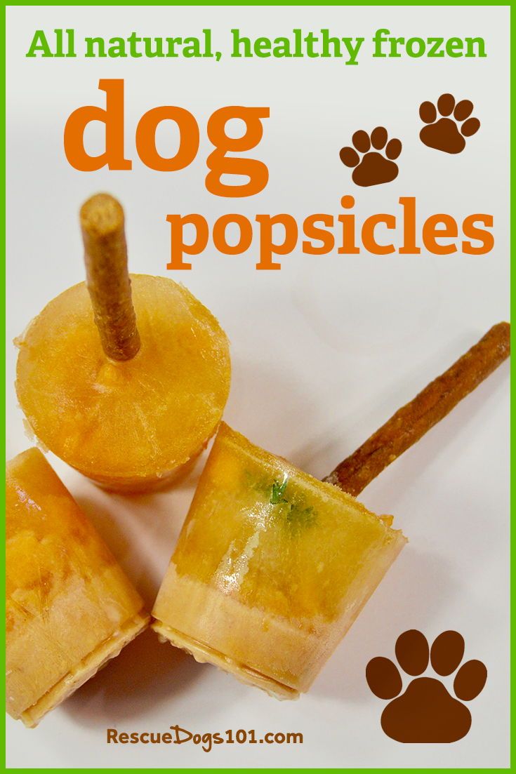 four popsicles are stacked on top of each other with the words dog popsicles above them