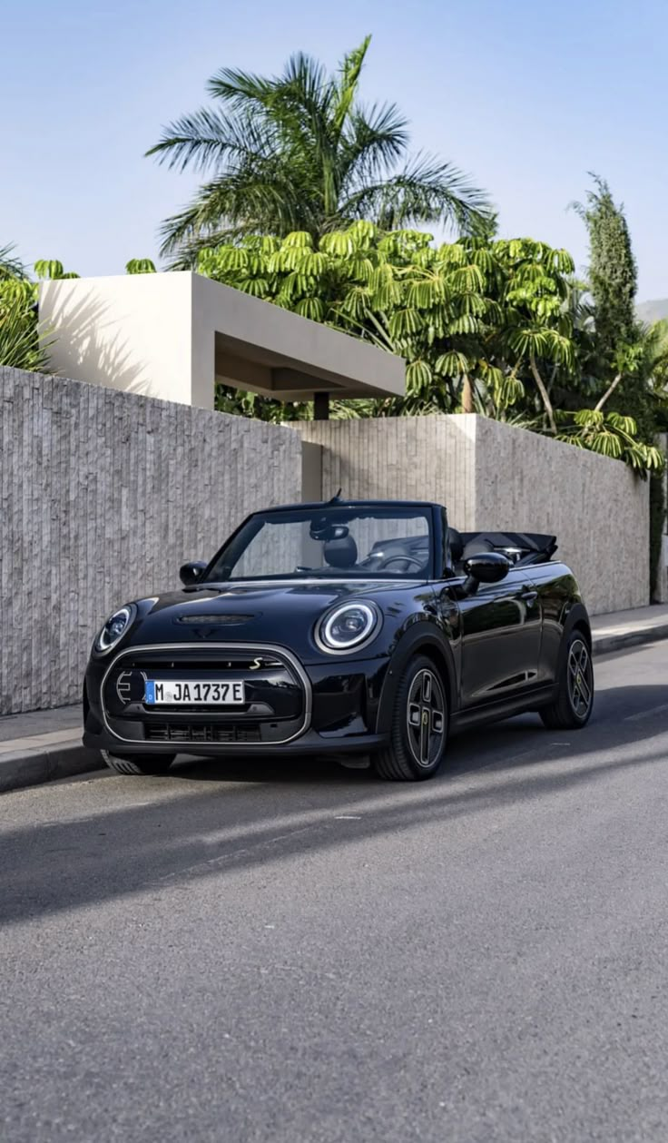 the new mini roadster convertible is shown in front of a wall and palm trees