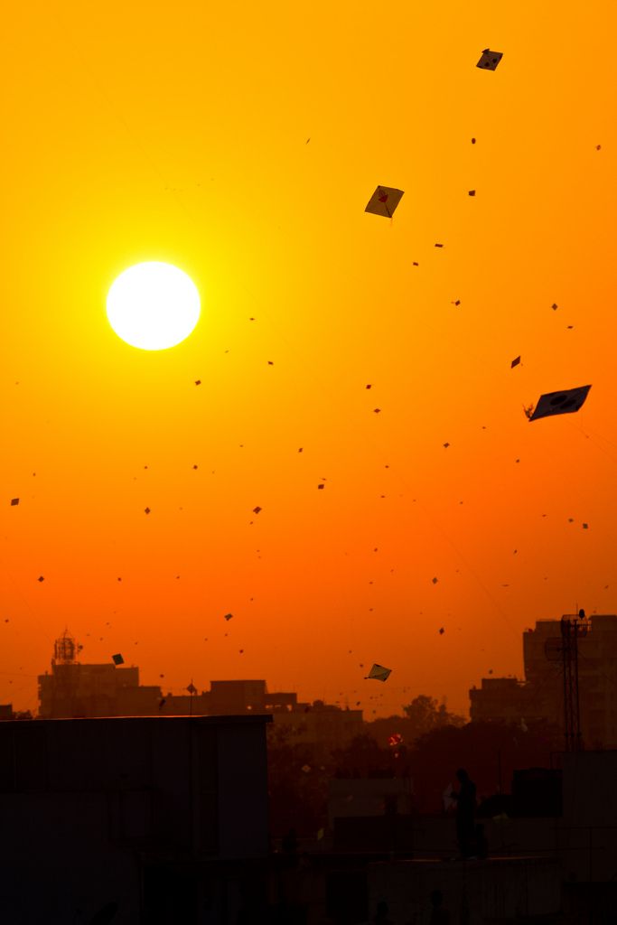 many kites are flying in the sky at sunset