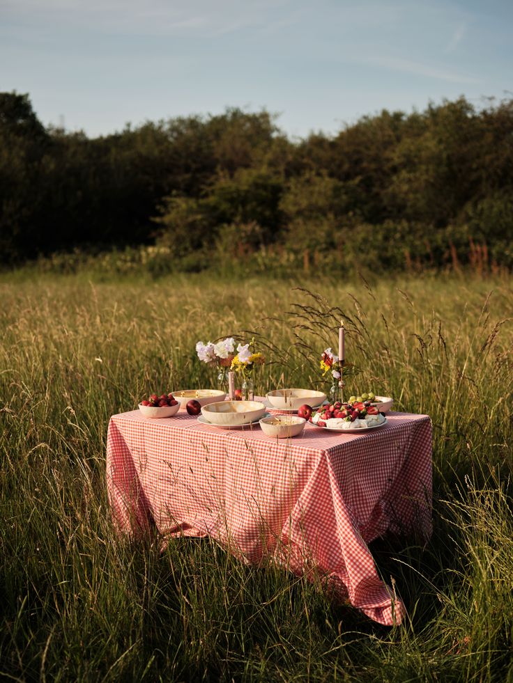 an outdoor table with plates and cups on it in the middle of tall grass, surrounded by trees