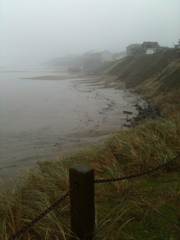 foggy beach with houses on the shore and grass growing along the fenced in area