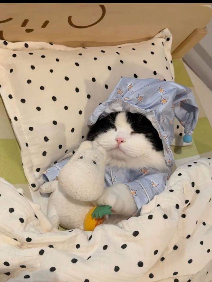 a black and white cat laying in bed next to a stuffed animal