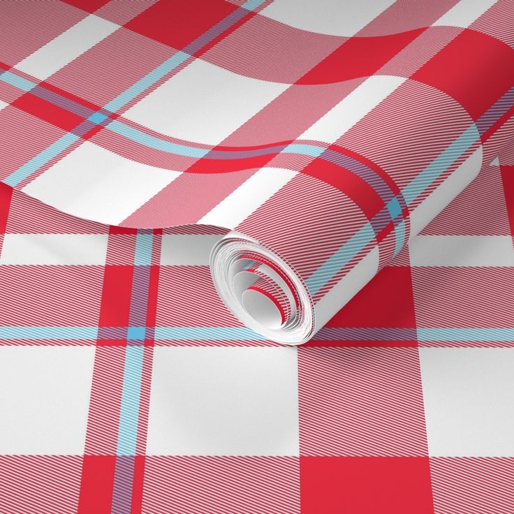 a red and white checkered wallpaper with a roll of paper on the floor