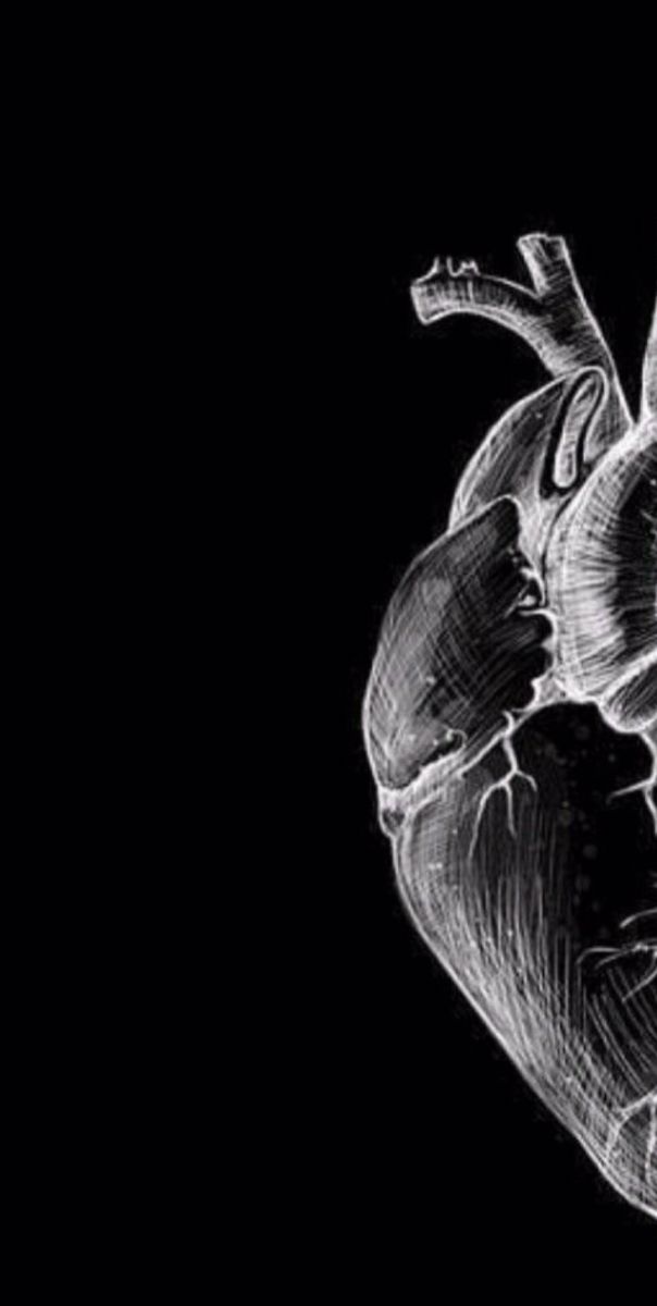 a black and white drawing of a human heart