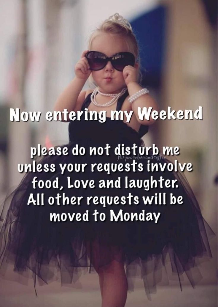 Good Morning Funny Pictures, Weekday Quotes, Weekend Quotes, Morning Quotes Funny, You Have Been Warned, Good Morning Funny, Its Friday Quotes, Friday Humor, Weekend Plans