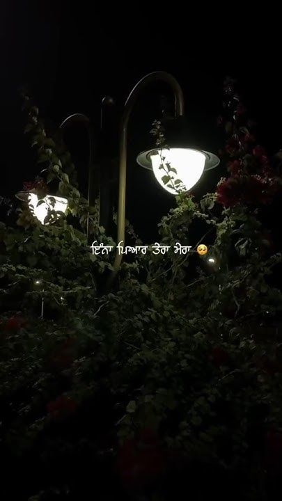 an illuminated street light in the dark with flowers growing on it's sides and words written underneath