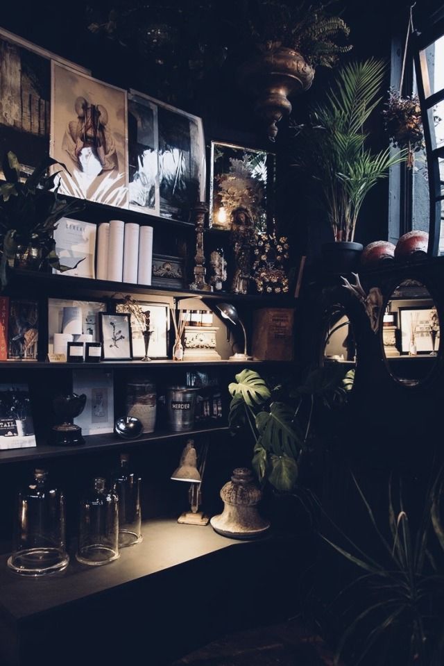 there are many plants and pictures on the shelves in this room, all lit up