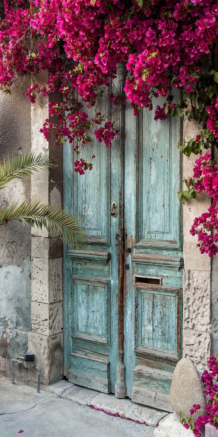 an old blue door with pink flowers growing over it