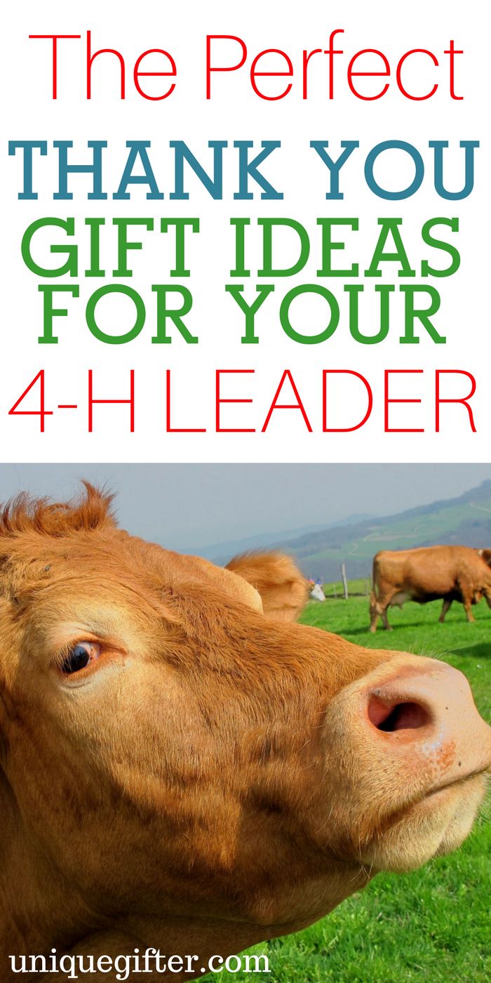 the perfect thank you gift idea for your 4 - h leader is here to give