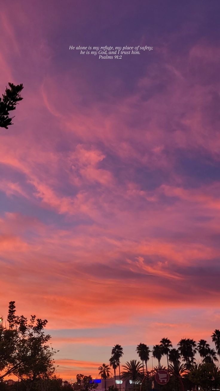 the sky is pink and purple with palm trees