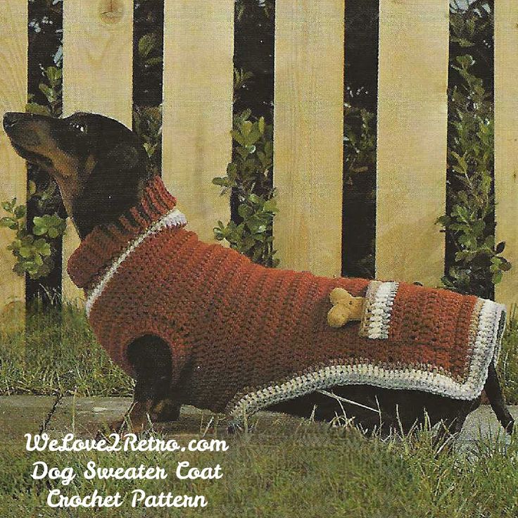 a small dog wearing a sweater with a teddy bear on it's back in front of a fence