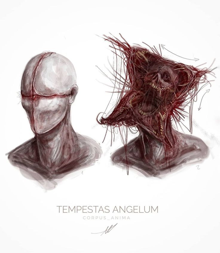 an artistic drawing of two heads with hair on them and the words tempesttass angelum written below