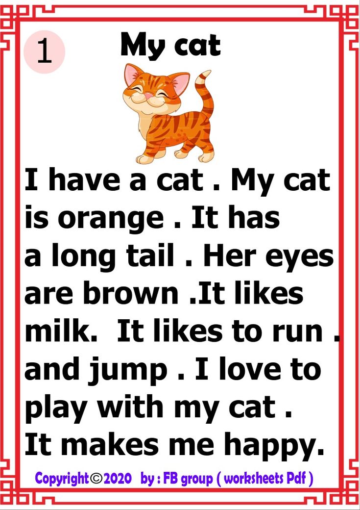 an orange cat with the caption that says, i have a cat my cat is orange it has a long tail