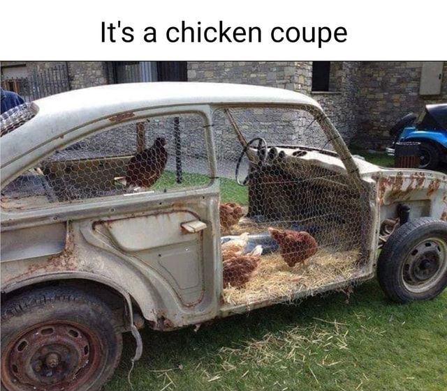 an old car with chickens in the back