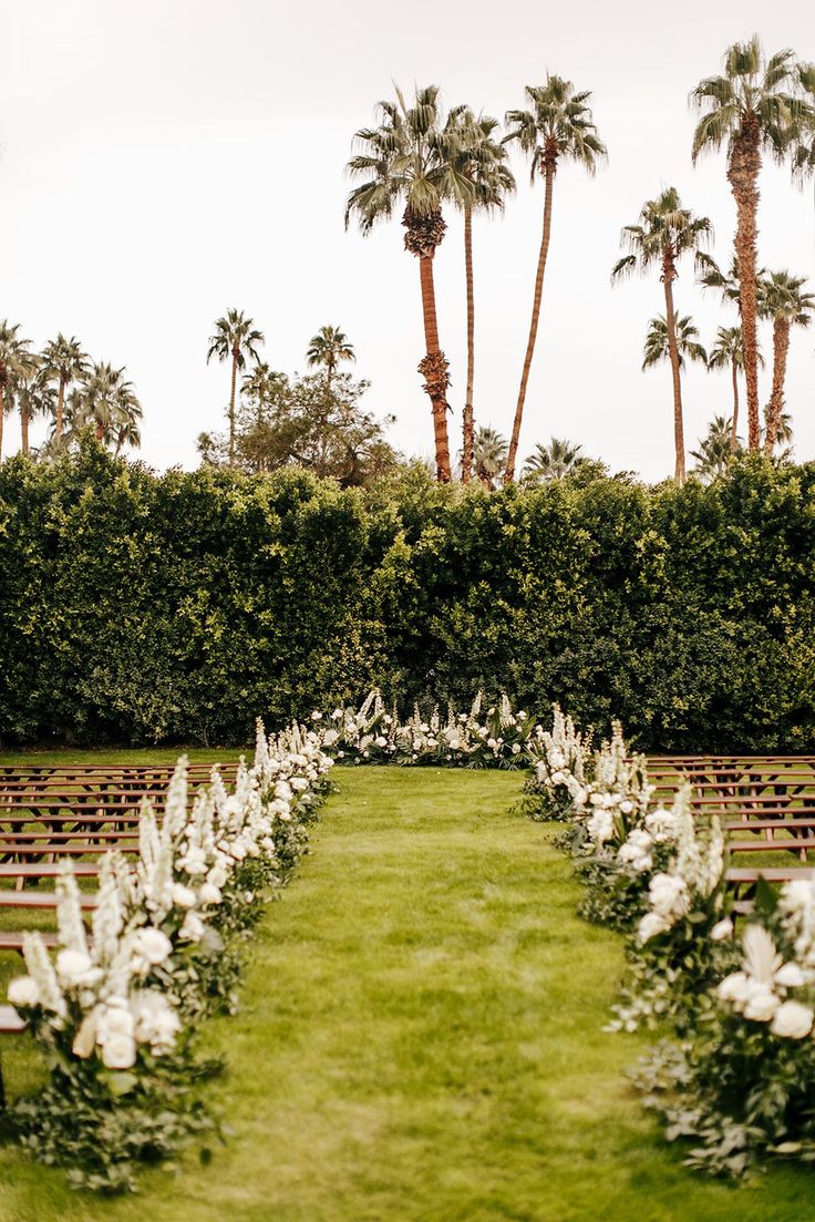 an outdoor ceremony setup with rows of chairs and white flowers on the grass in front of palm trees