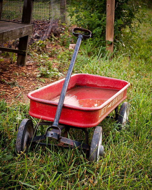 a red wheelbarrow sitting in the grass