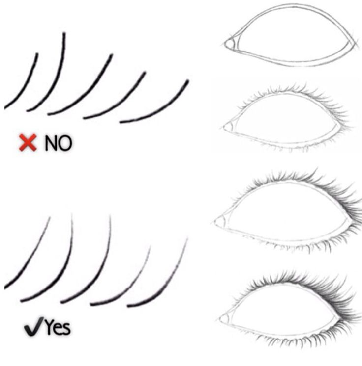 how to draw eyelashes with no eyeliners step by step instructions for beginners