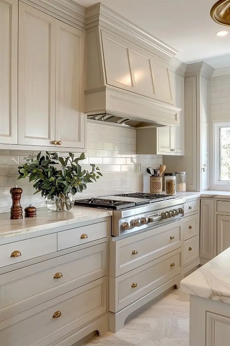 a large kitchen with white cabinets and marble counter tops is pictured in this image, the center island has a potted plant on it