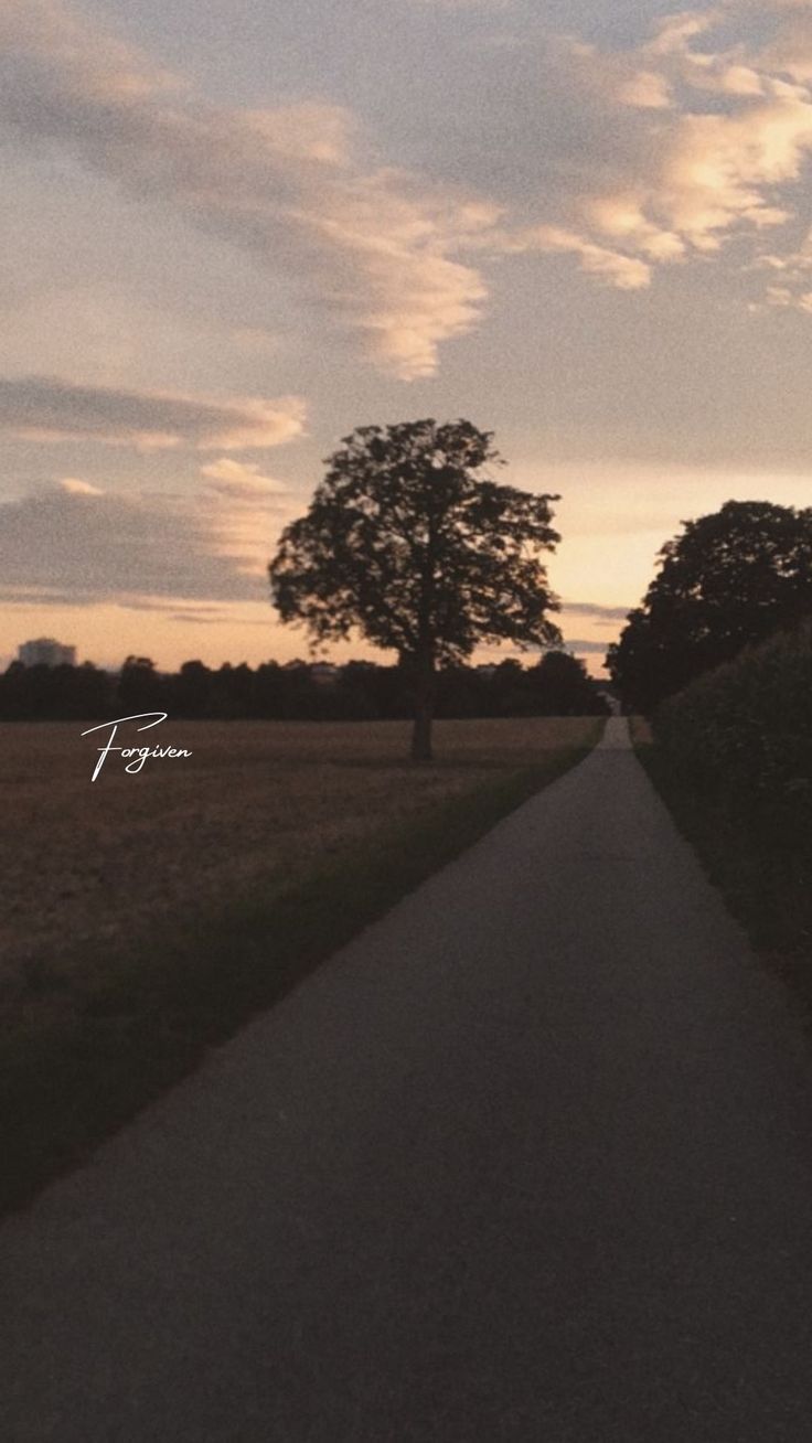 a lone tree on the side of a country road at sunset or dawn with clouds in the sky