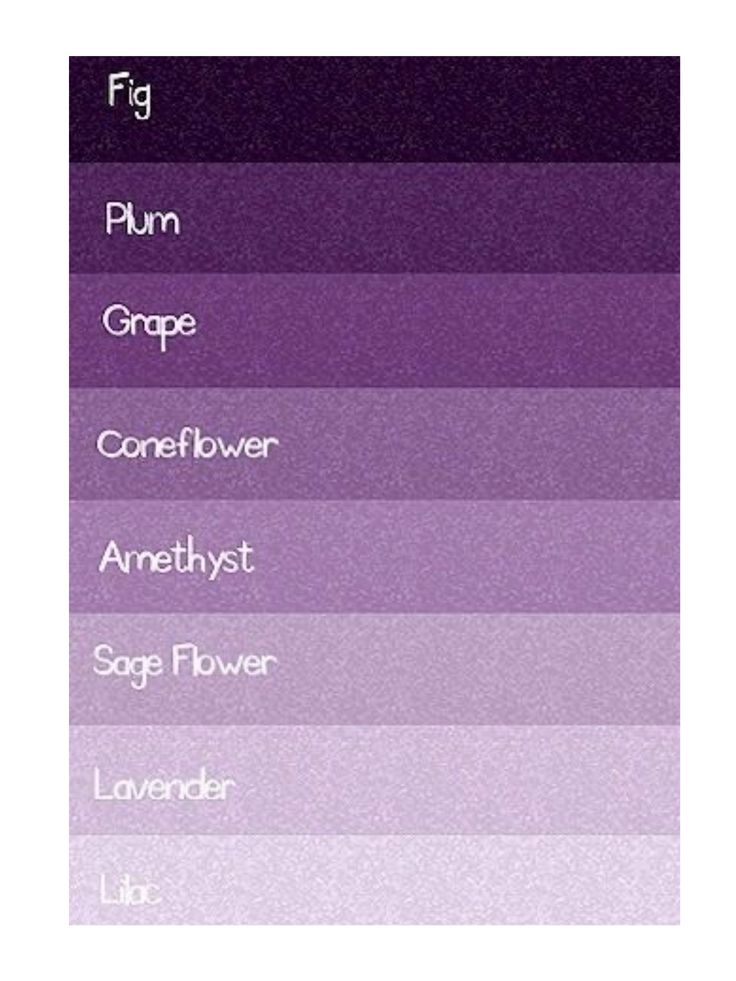 the color purple is shown in this image