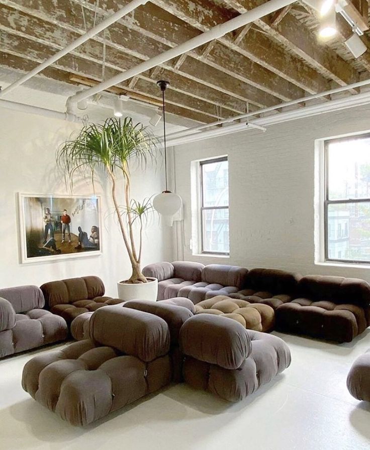 a living room filled with lots of couches and a potted plant