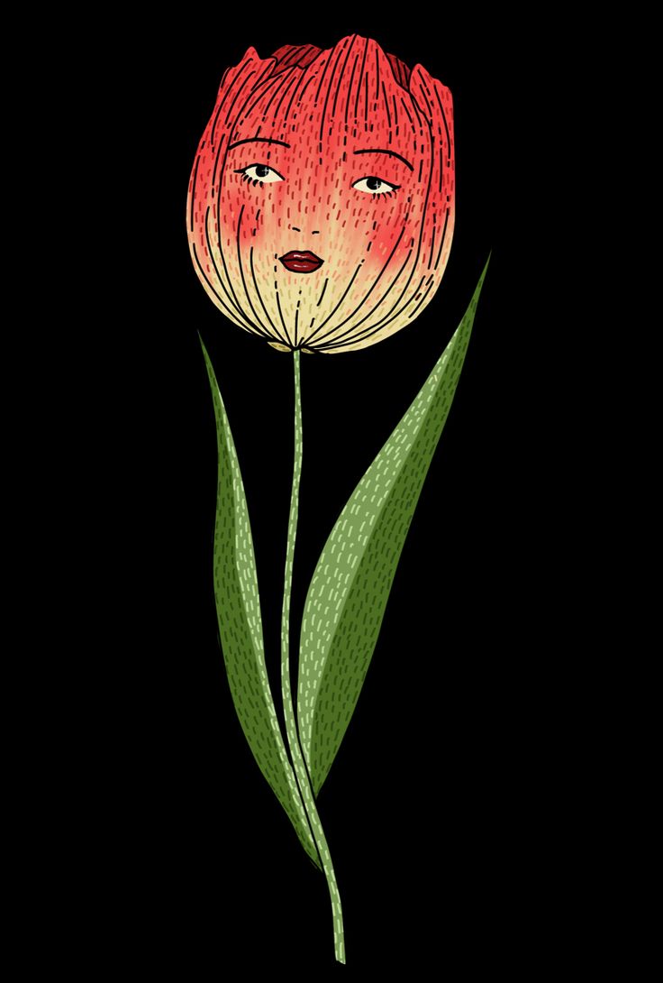 a drawing of a red flower with green leaves on the bottom and an image of a woman's face in the middle