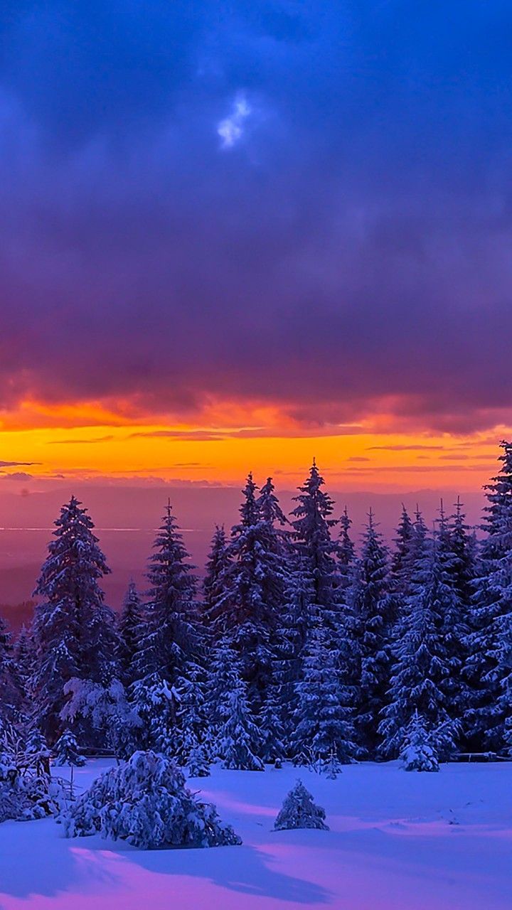 the sun is setting over some trees in the snowy field with snow covered ground and evergreens