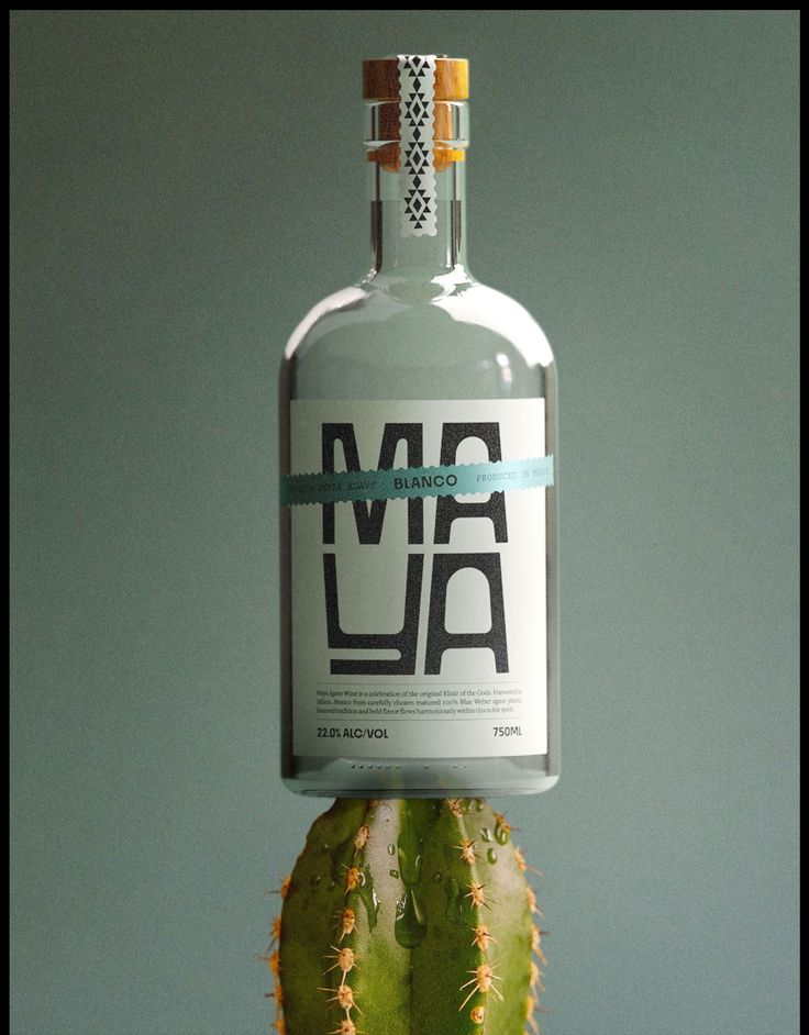 a bottle of vodka sitting on top of a cactus