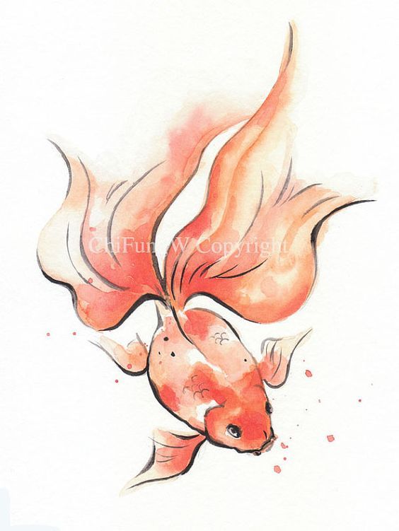 a watercolor painting of a goldfish with red and orange colors on it's body