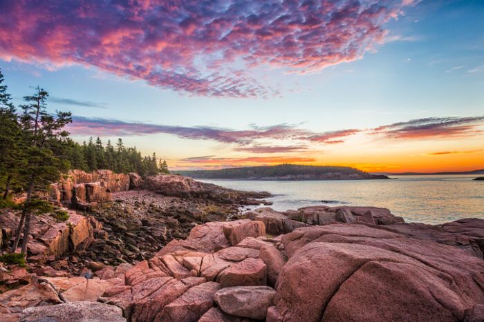 the sun is setting over some rocks on the shore with trees in the foreground