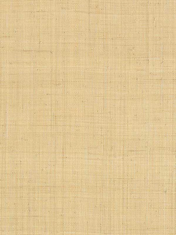 T13040 Carolina Raffia Natural Wallpaper Type Wallpaper, Natural Wallpaper, Room Bedding, Tv Background, Color Tones, Pattern Matching, Subtle Textures, Home Wallpaper, Wallpaper Roll