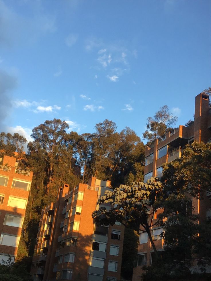 an apartment building with trees in the foreground and a blue sky above it on a sunny day