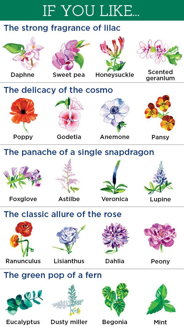 the different types of flowers and their meanings