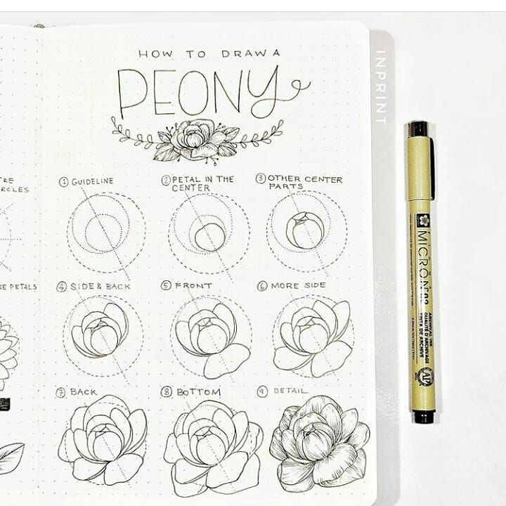 an open notebook with some drawings on it and a pen next to the page that says how to draw peony