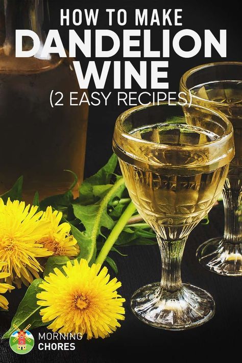 the cover of how to make dandelion wine 2 easy recipes by morning shores