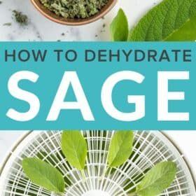 the words how to dehydraate sage on top of a white table