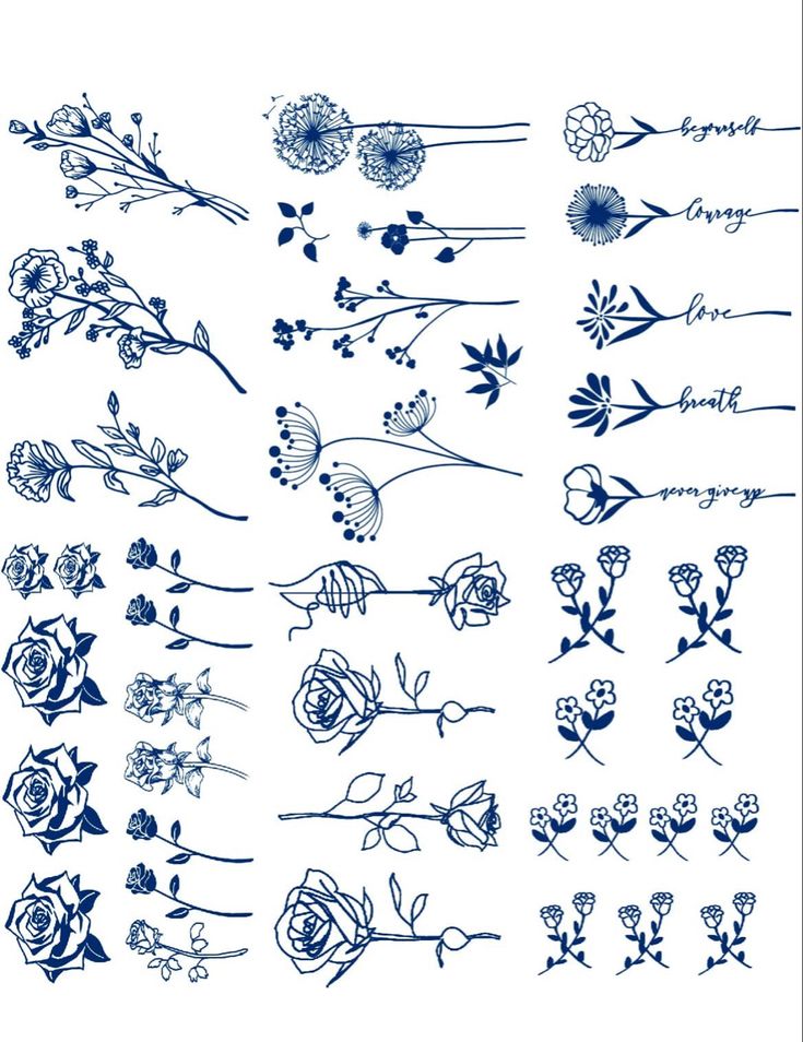 various flowers and leaves drawn in blue ink