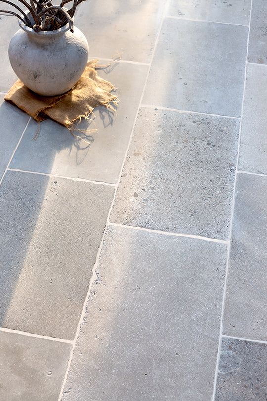 a potted plant sitting on top of a stone floor