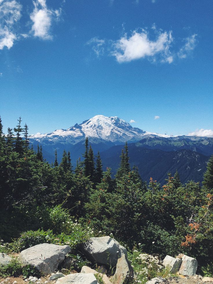 a mountain with trees and rocks in the foreground