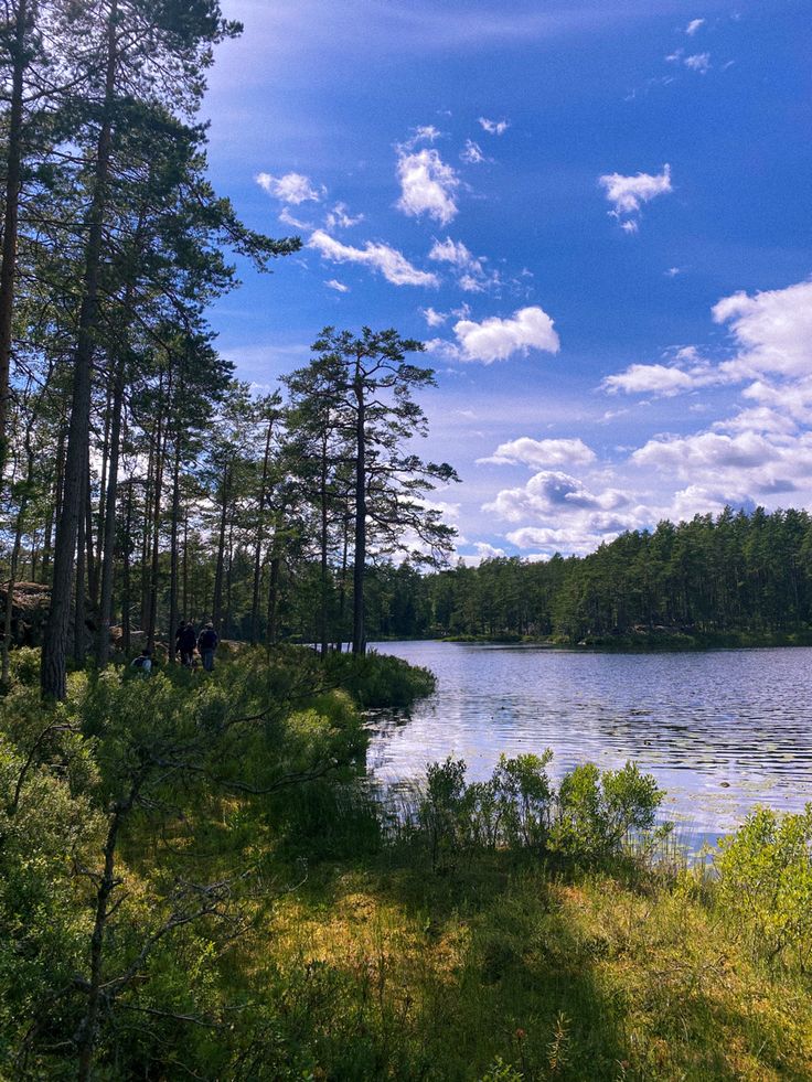 a large body of water surrounded by trees and grass on a sunny day with clouds in the sky