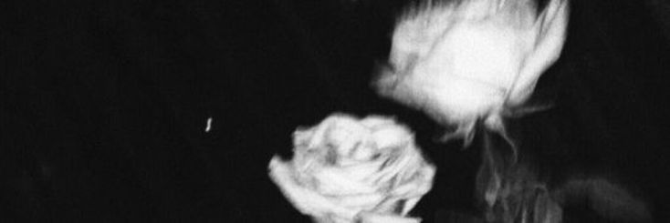 a black and white photo of a person holding a rose