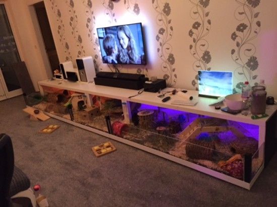 a living room filled with furniture and a flat screen tv mounted on top of a wall