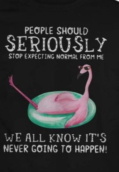 a pink flamingo sitting on top of an inflatable pool with the caption people should seriously stop expecting normal from me