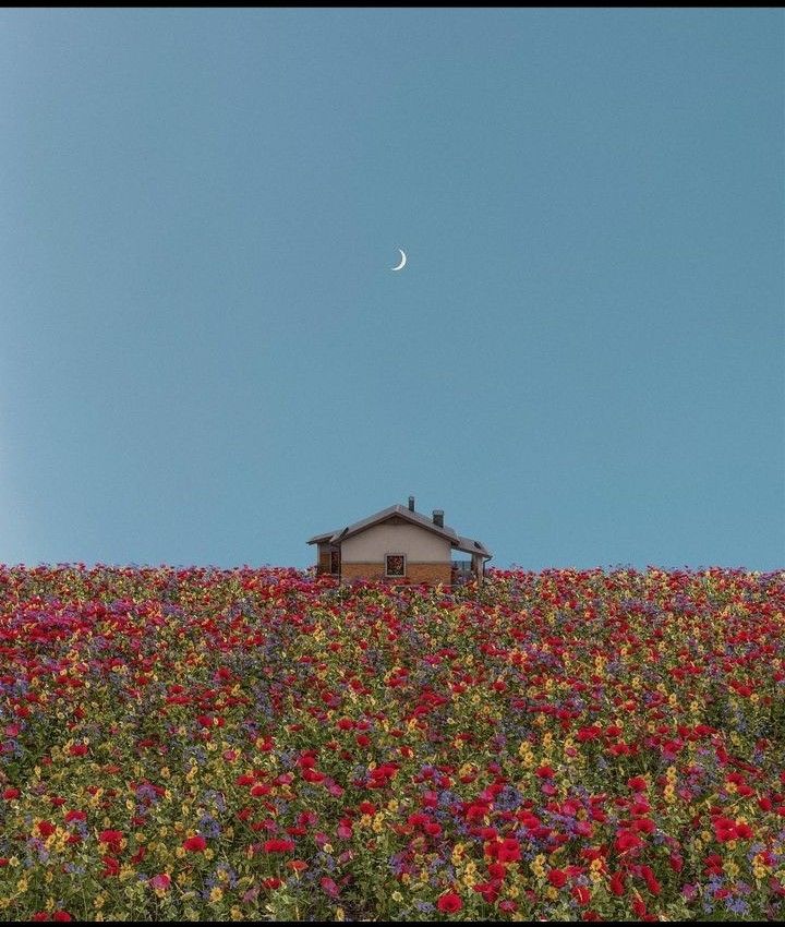 a house sitting on top of a lush green hillside covered in wildflowers under a blue sky