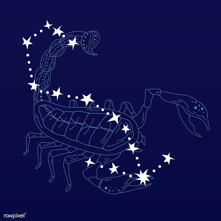 a drawing of a scorpion with stars on it