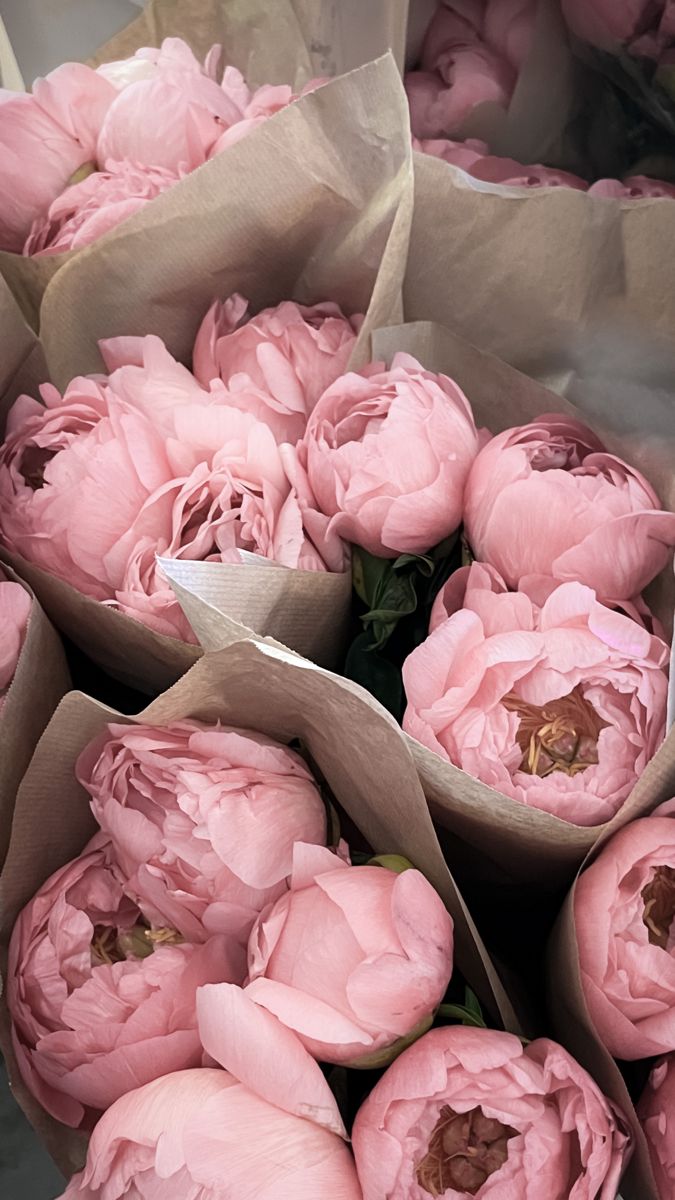 a bunch of pink flowers sitting on top of each other in brown paper wrappers